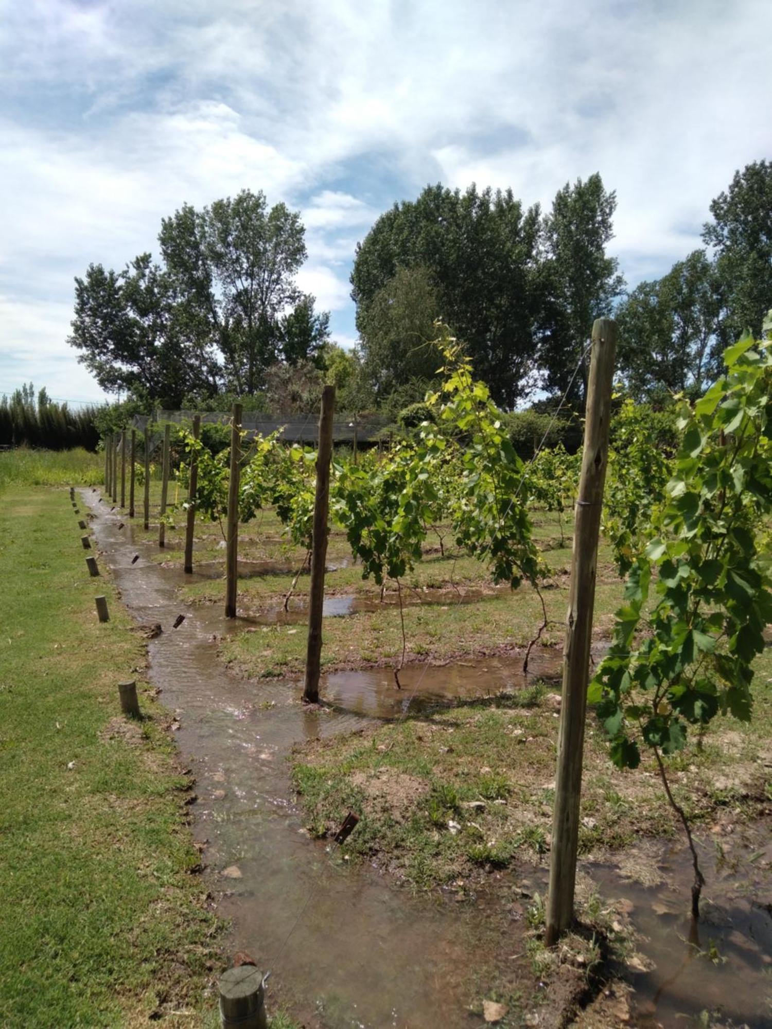 La Matera Posada De Campo São Rafael Exterior foto